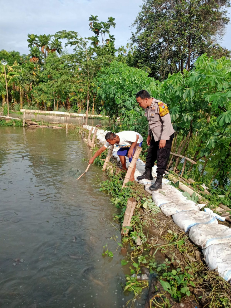 Warga Permata Candiloka Manfaatkan Lahan Kosong untuk Budidaya Ikan Mujair, Dukung Swasembada Pangan