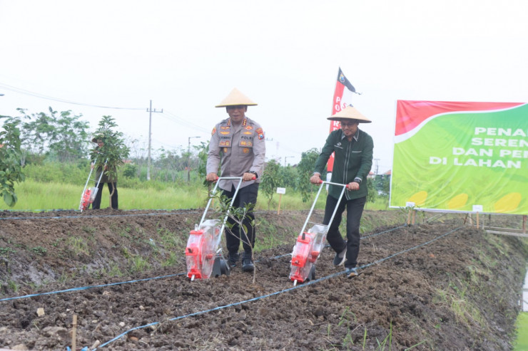 Tanam Jagung Serentak, Forkopimda Sidoarjo Gandeng Pesantren Sukseskan Ketahanan Pangan
