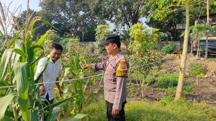 Bhabinkamtibmas Polsek Taman Bersama Warga Tanam Jagung Dukung Ketahanan Pangan Sidoarjo