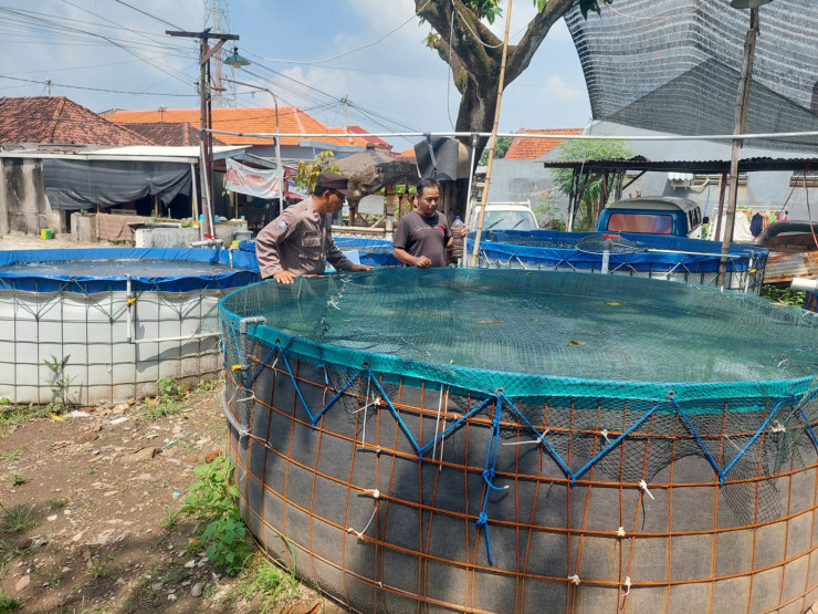 Polresta Sidoarjo dan Warga Ketimang Kembangkan Ketahanan Pangan Lewat Budidaya Lele
