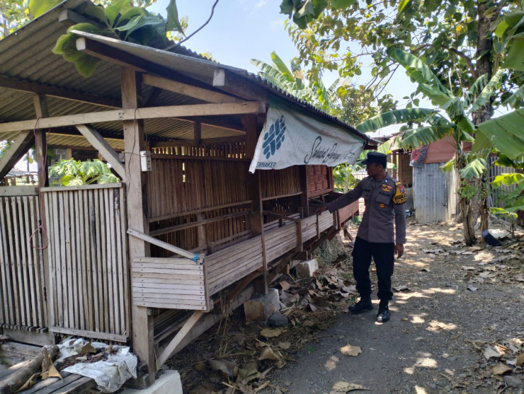 Bhabinkamtibmas Desa Modong Cek Peternakan Kambing Dukung Ketahanan Pangan Polresta Sidoarjo