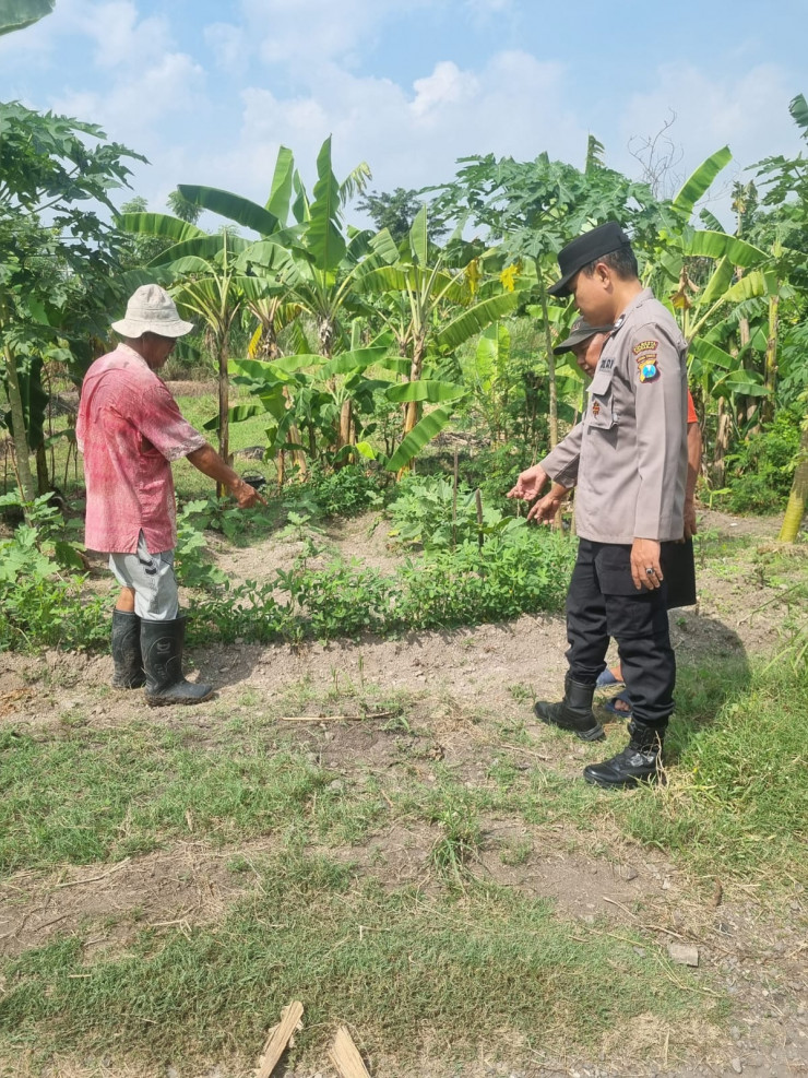 Warga Kedungturi Taman Manfaatkan Lahan Kosong untuk Sukseskan Program Ketahanan Pangan
